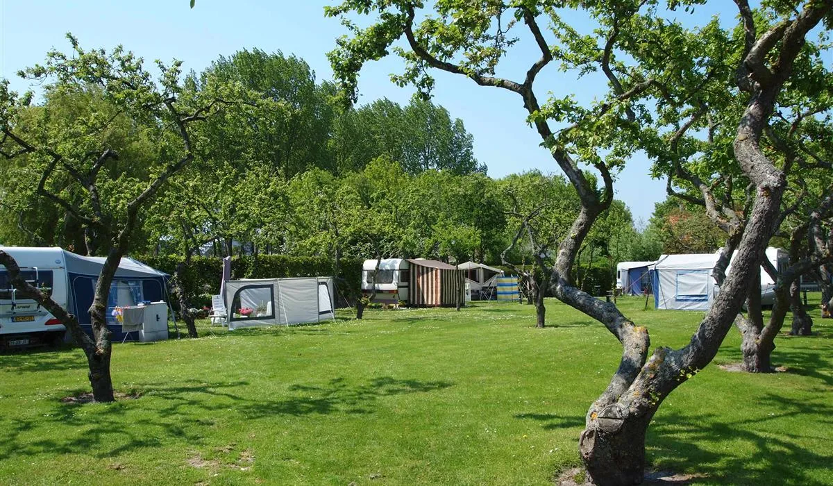 camping-in-de-bongerd-oostkapelle-pdd1p