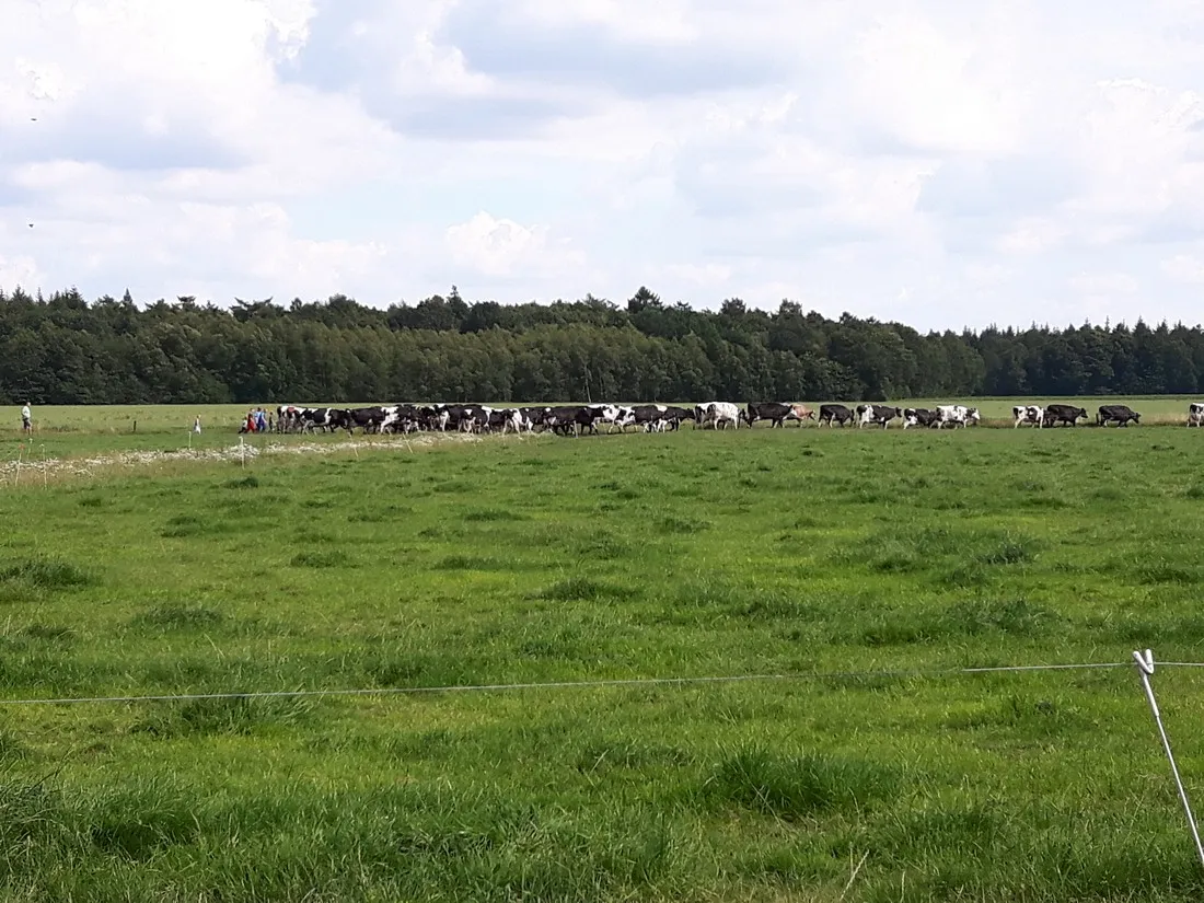 boerderij-camping-t-looveld-zweeloo-bkzfu