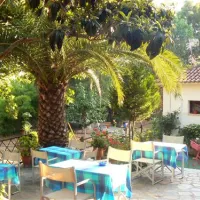 camping-louisa-plataniaspilion-dtvpk