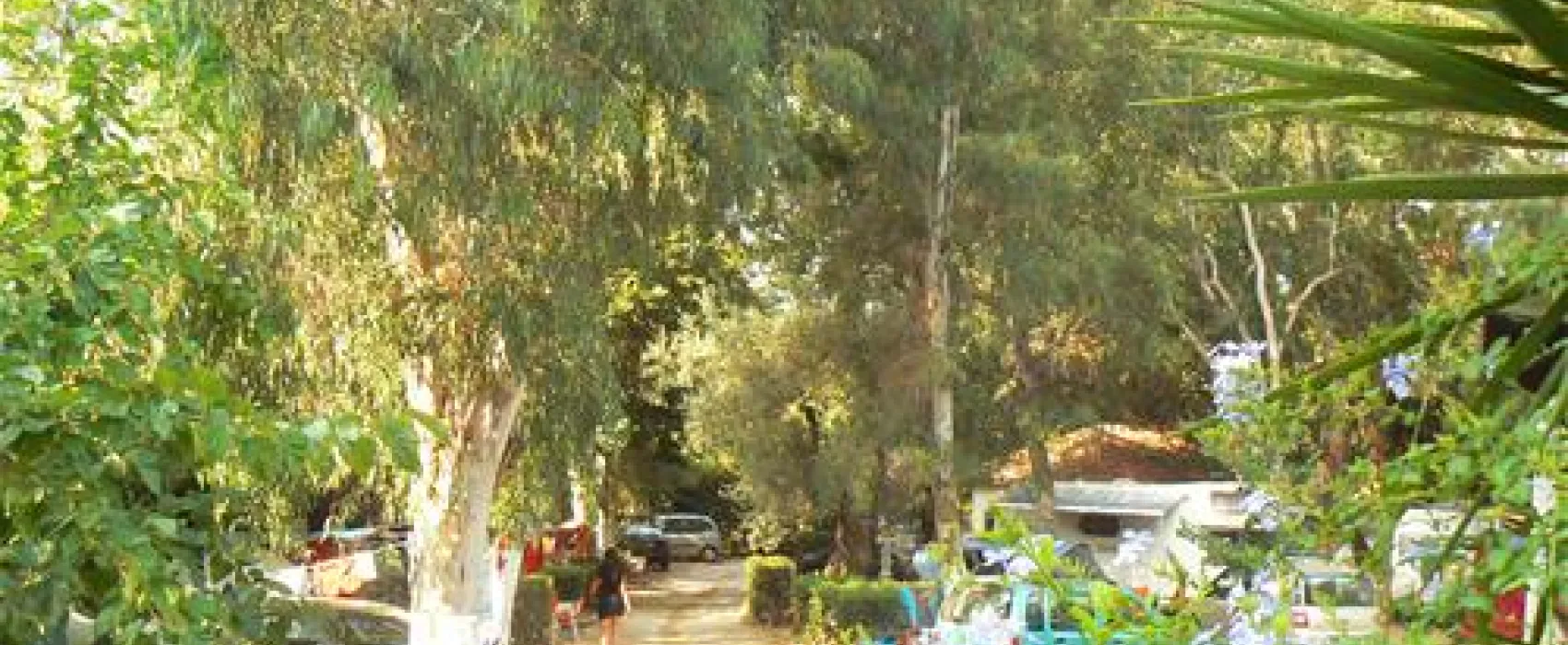 Camping Louisa