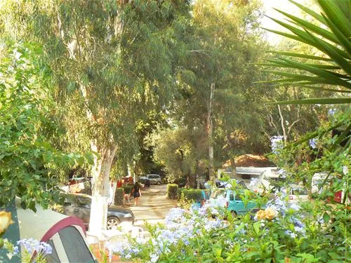 camping-louisa-plataniaspilion-lln96