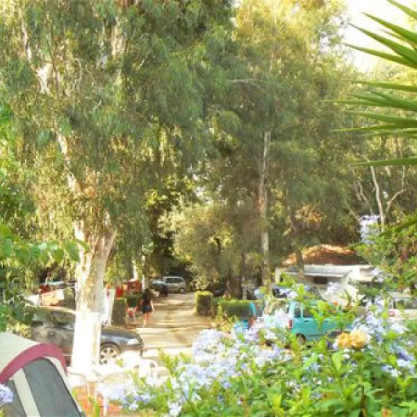 camping-louisa-plataniaspilion-lln96