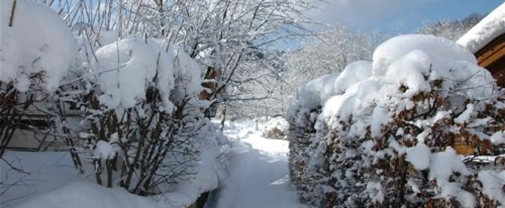 Camping Litzelau