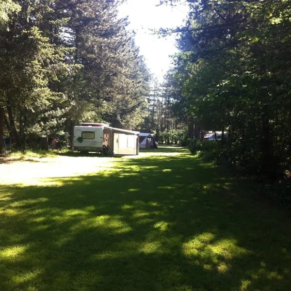 camping-distelloo-helvoirt-lnfn5