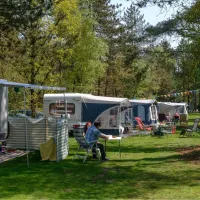 camping-distelloo-helvoirt-w37j4