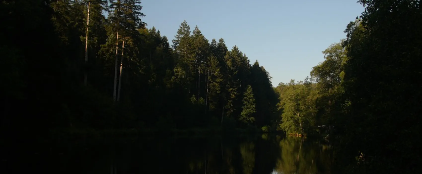 Schwarzwald-Camping