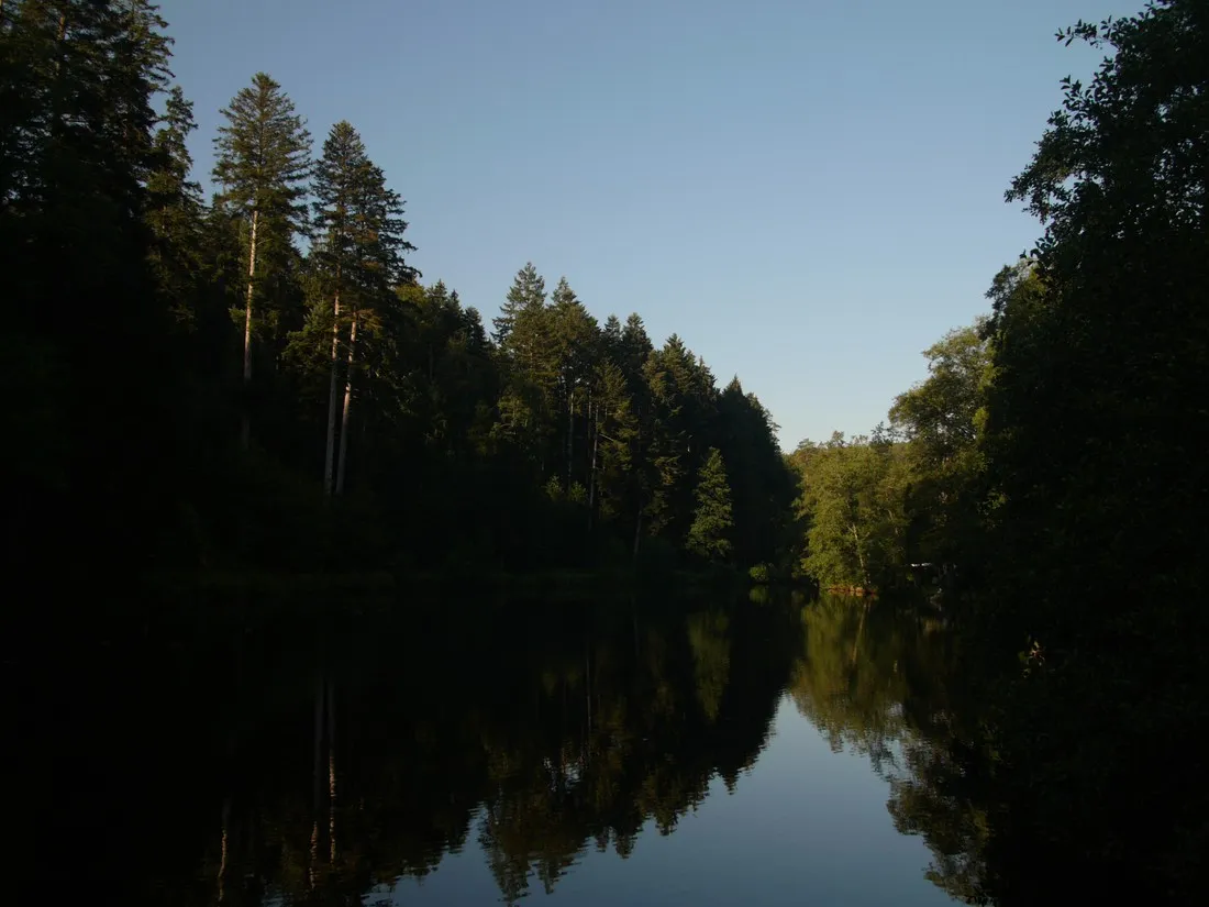 schwarzwaldcamping-altensteig-hzdfr
