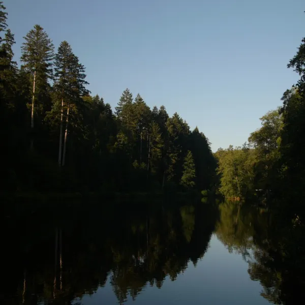 schwarzwaldcamping-altensteig-hzdfr