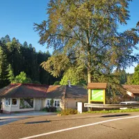 schwarzwaldcamping-altensteig-mxldf