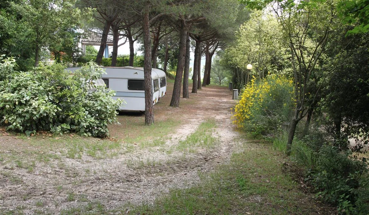 camping-village-mar-y-sierra-san-costanzo-rqkjg