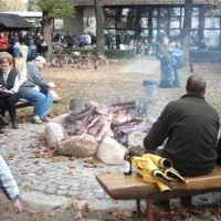 campingpark-wohnmobilhafen-am-gr-lausiger-teich-bad-schmiedeberg-albu9