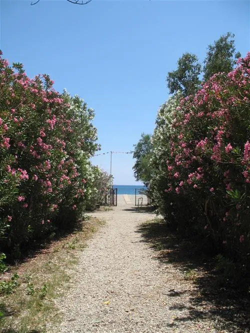 campsite-manibeach-gythionlakonias-sdvdi