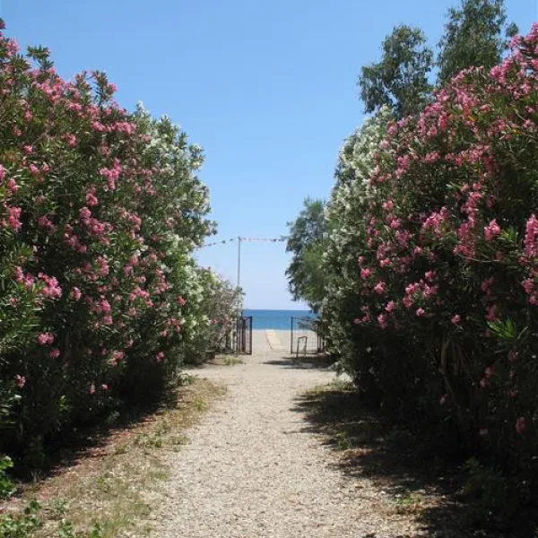 campsite-manibeach-gythionlakonias-sdvdi