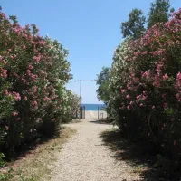 campsite-manibeach-gythionlakonias-sdvdi