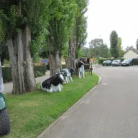 camping-les-trois-rois-les-andelys-flrg7