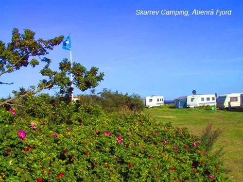 skarrev-camping-aabenraa-4evbb