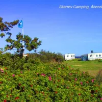 skarrev-camping-aabenraa-4evbb
