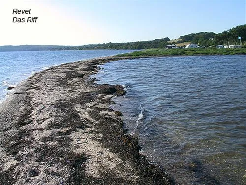 skarrev-camping-aabenraa-c2kl8