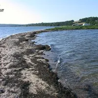 skarrev-camping-aabenraa-c2kl8