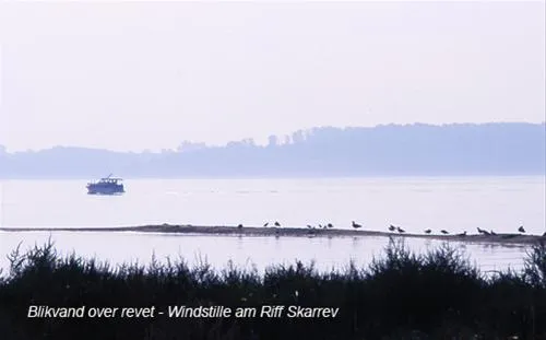 skarrev-camping-aabenraa-kjrz6