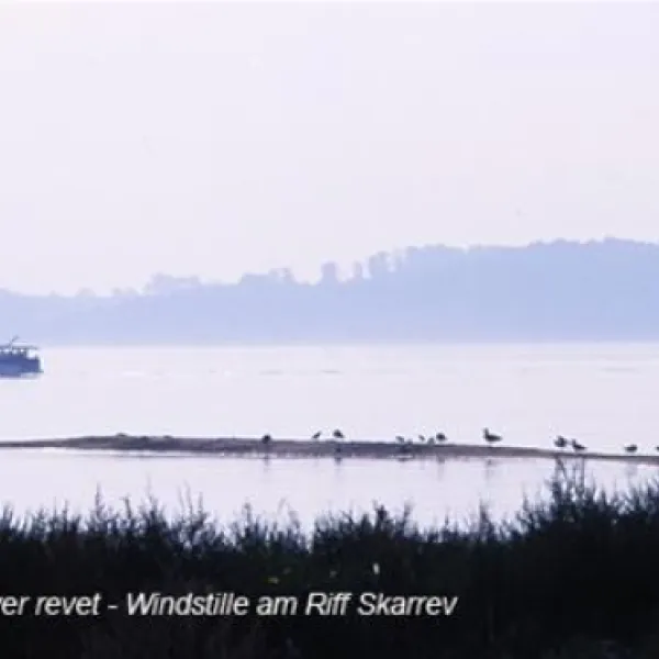 skarrev-camping-aabenraa-kjrz6