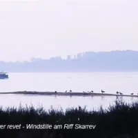 skarrev-camping-aabenraa-kjrz6