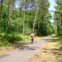 camping-les-acacias-messanges-ix4qa