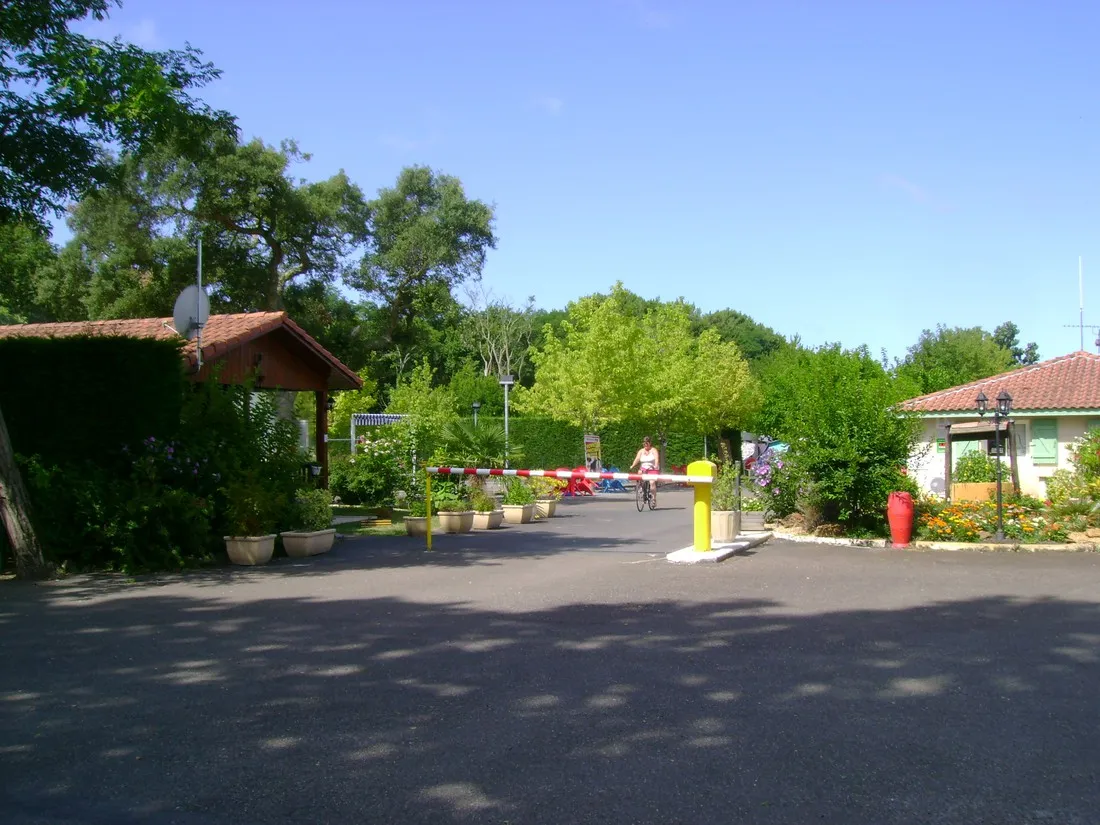 camping-les-acacias-messanges-knayk