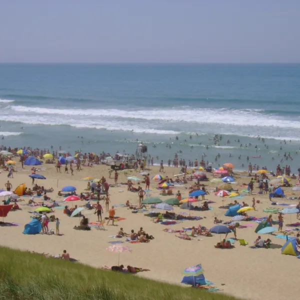 camping-les-acacias-messanges-yzuxo