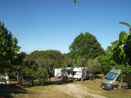 camping-toca-da-raposa-merugeoliveira-do-hospital-ge0oz