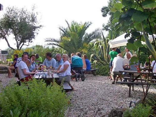 camping-toca-da-raposa-merugeoliveira-do-hospital-nuvdz