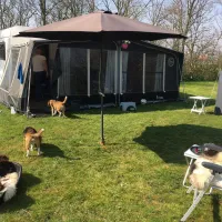joanneshoeve-de-cocksdorp-uueim
