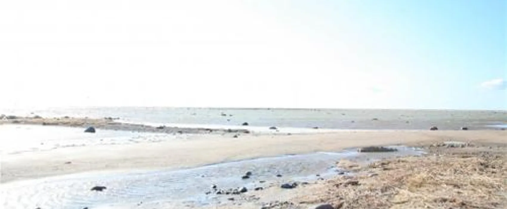 Varemurru Resort