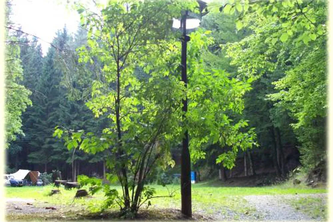 campingplatz-durrenbach-klingenthal-j4tai