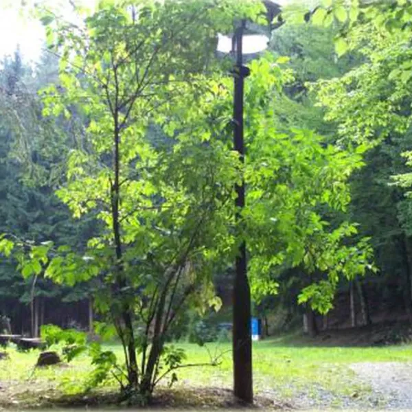 campingplatz-durrenbach-klingenthal-j4tai