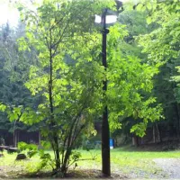 campingplatz-durrenbach-klingenthal-j4tai
