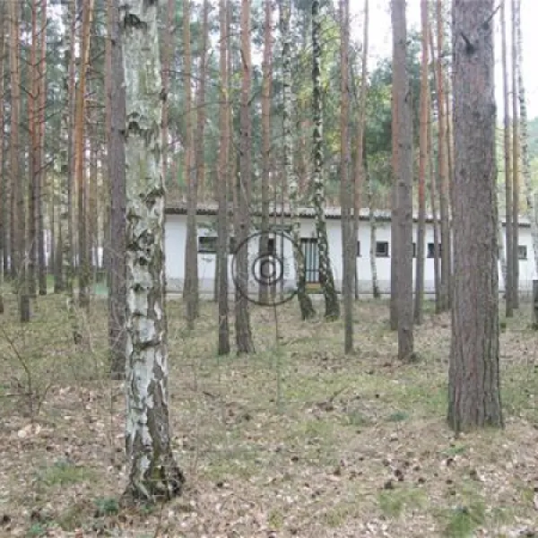 feriengesellschaft-stausee-quitzdorf-mbh-kollm-quitzdorf-am-see-0kodt