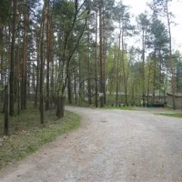 feriengesellschaft-stausee-quitzdorf-mbh-kollm-quitzdorf-am-see-3wnzk