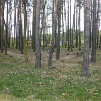 feriengesellschaft-stausee-quitzdorf-mbh-kollm-quitzdorf-am-see-4alna