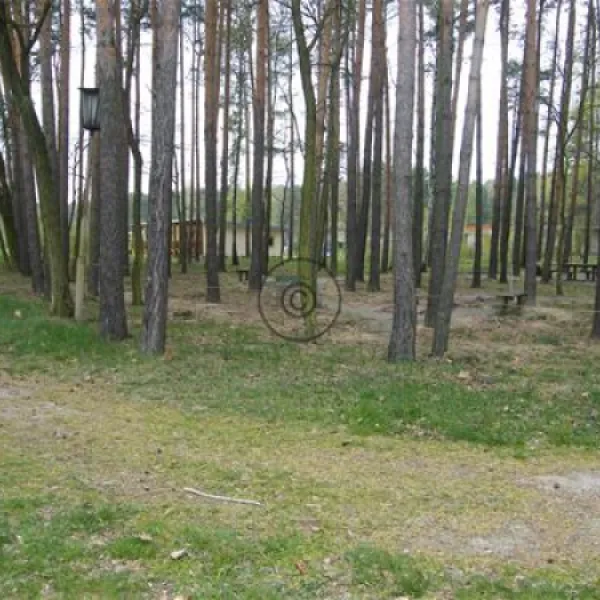 feriengesellschaft-stausee-quitzdorf-mbh-kollm-quitzdorf-am-see-8dbnr