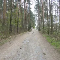 feriengesellschaft-stausee-quitzdorf-mbh-kollm-quitzdorf-am-see-qrebq