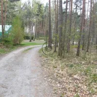 feriengesellschaft-stausee-quitzdorf-mbh-kollm-quitzdorf-am-see-rcaqy