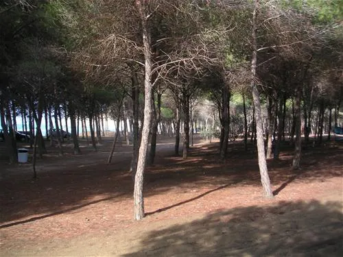 campeggio-eraclea-minoa-cattolica-lwaed