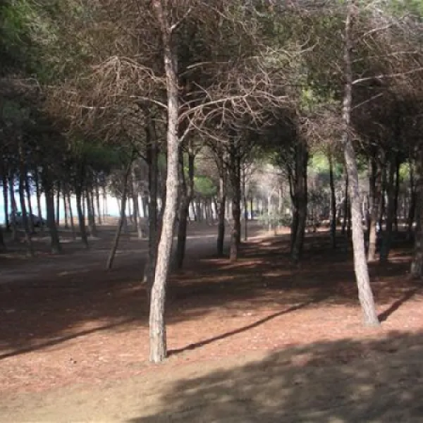 campeggio-eraclea-minoa-cattolica-lwaed