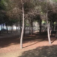 campeggio-eraclea-minoa-cattolica-lwaed