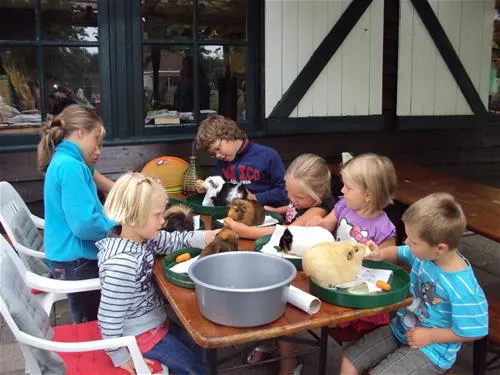 parkcamping-mooi-delden-delden-65f1b