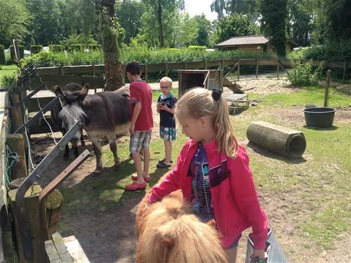 parkcamping-mooi-delden-delden-ttzdw