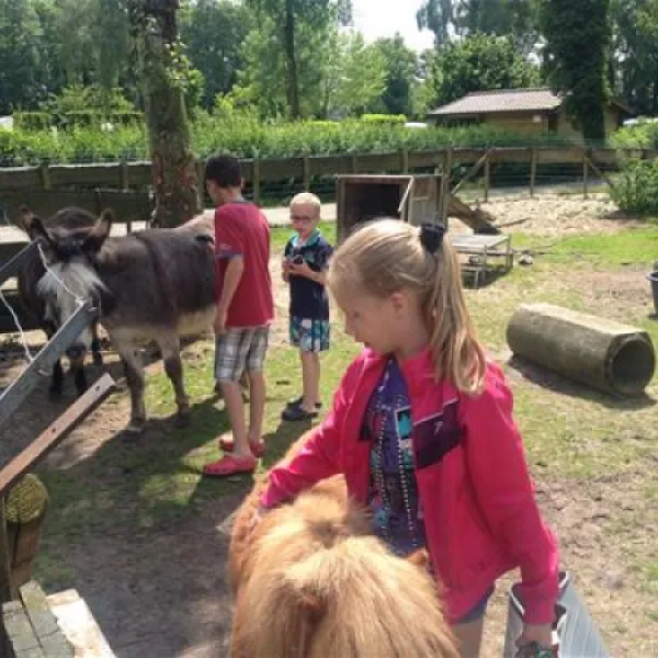 parkcamping-mooi-delden-delden-ttzdw
