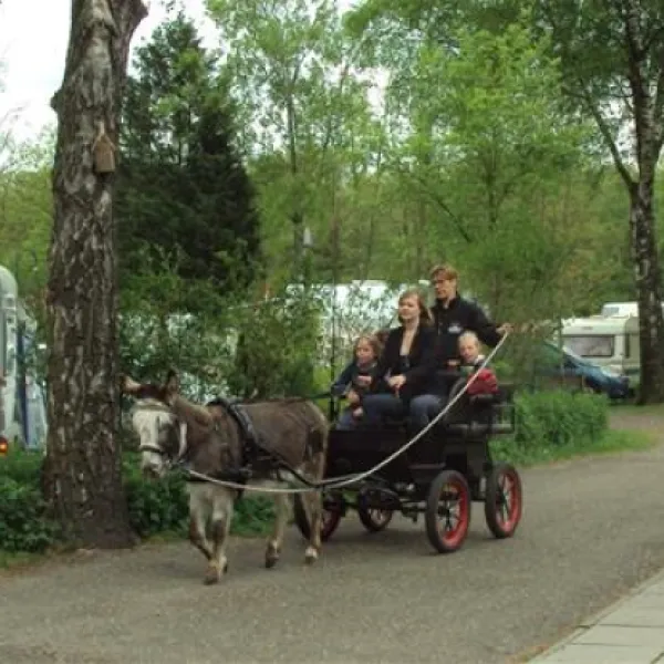 parkcamping-mooi-delden-delden-yrrel
