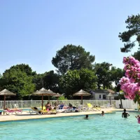 camping-le-soleil-des-landes-lit-et-mixe-4deqc